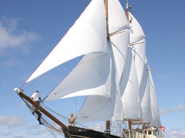 jylland33