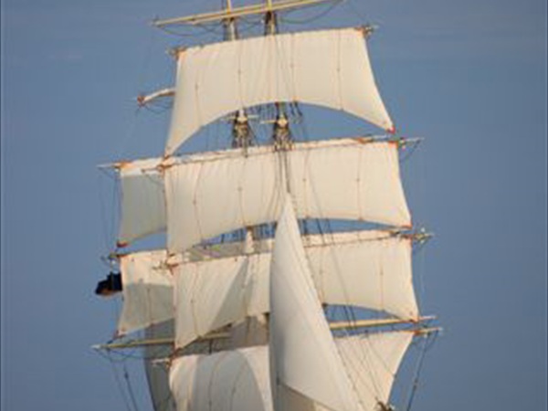 tre-kronor33